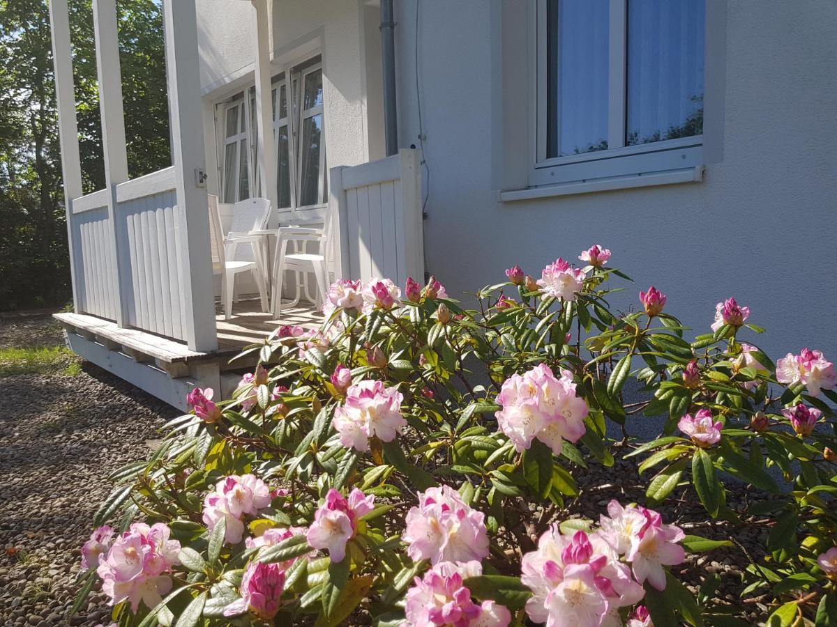 Sellin  Residenz Seeblick Whg 4, Mit Gartenzugang מראה חיצוני תמונה